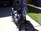 Photo of a 2009 Harley-Davidson&reg; XL 1200N Sportster 1200 Nightster&trade;