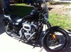 Photo of a 2009 Harley-Davidson&reg; XL 1200N Sportster 1200 Nightster&trade;