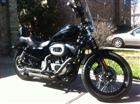 Photo of a 2009 Harley-Davidson&reg; XL 1200N Sportster 1200 Nightster&trade;