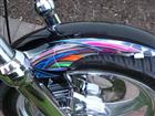 Photo of a 1993 Harley-Davidson&reg; FXDL Dyna Low Rider&reg;