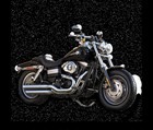 New 2013 Harley-Davidson&reg; Fat Bob