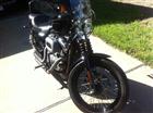 Photo of a 2009 Harley-Davidson&reg; XL 1200N Sportster 1200 Nightster&trade;