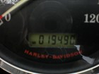 Photo of a 2008 Harley-Davidson&reg; FXSTB Night Train&reg; 