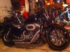 Photo of a 2009 Harley-Davidson&reg; XL 1200N Sportster 1200 Nightster&trade;