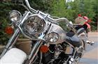 Photo of a 1994 Harley-Davidson&reg; FLSTN Heritage Softail Nostalgia