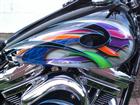 Photo of a 1993 Harley-Davidson&reg; FXDL Dyna Low Rider&reg;