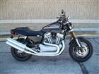 Used 2010 Harley-Davidson® Sportster® XR1200™