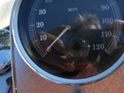 Photo of a 2002 Thunder Mountain  Gunnison Softail (FXST)