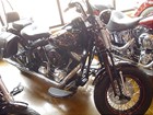 Used 2008 Harley-Davidson® Softail® Cross Bones™