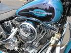 Photo of a 1998 Harley-Davidson&reg; FLSTC Heritage Softail&reg; Classic