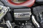 Photo of a 2008 Harley-Davidson&reg; FXDF Dyna Fat Bob&trade;